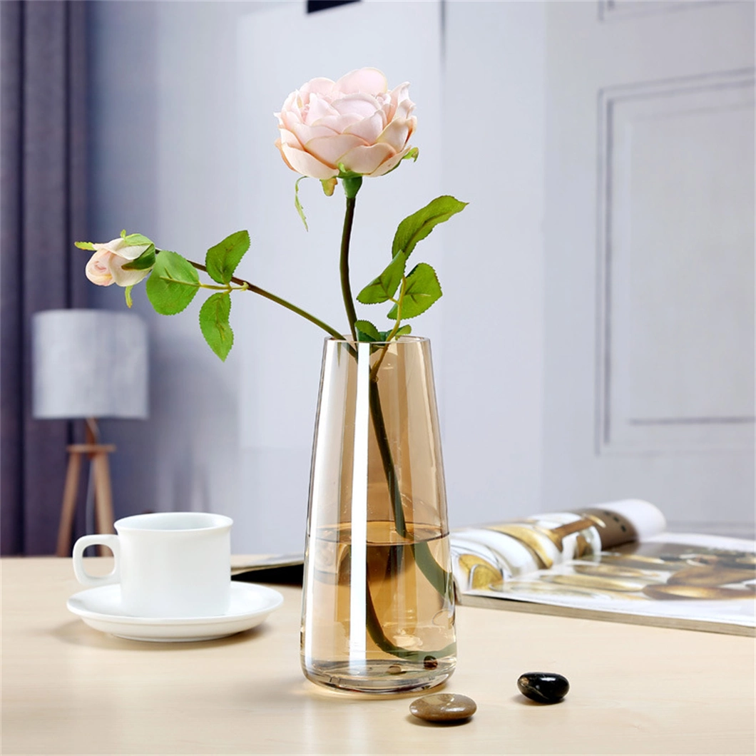 Symphony Transparent Water Raising Simple Desktop Flower Arrangement Glass Vase